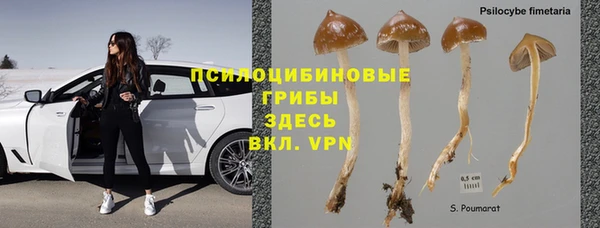 стафф Алексеевка