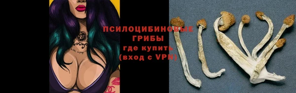 2c-b Пестово
