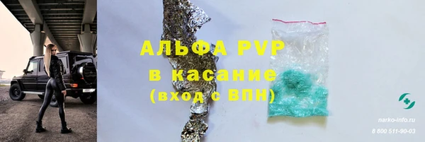 сатива Алзамай