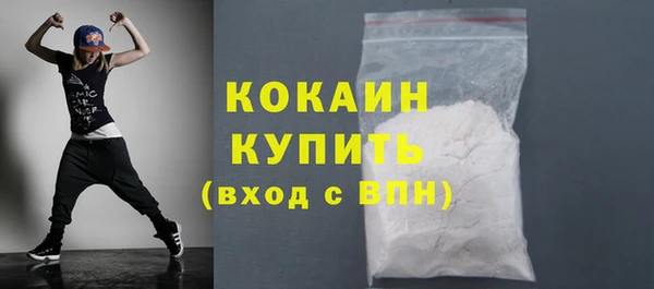 спиды Пересвет