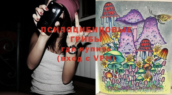 стафф Алексеевка