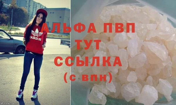 стаф Алексин